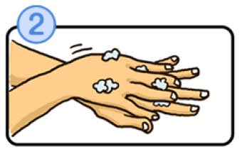 手の甲を洗うイラスト